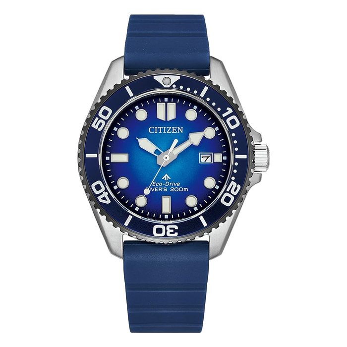 Citizen Promaster BN0267-04L Eco-Drive Watch