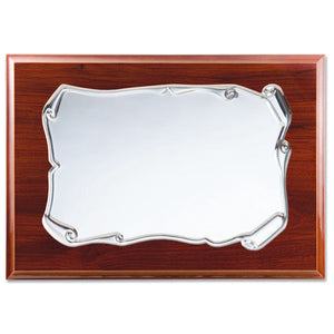 PLACA HOMENAJE ALUMINIO 26X21CM - 22X16CM