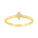 Anillo Argyor en oro 750. di 0.04ct GH-P1 750 O.A.