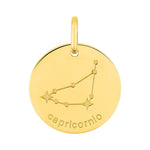 Colgante Argyor zodiaco Capricornio plor