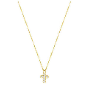Collar Argyor
