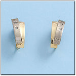 PENDIENTES ORO 18KL BICOLOR CIRCONITAS