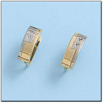 PENDIENTES ORO 18KL BICOLOR CIRCONITAS