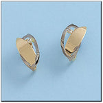 PENDIENTES ORO 18KL BICOLOR CIRCONITAS