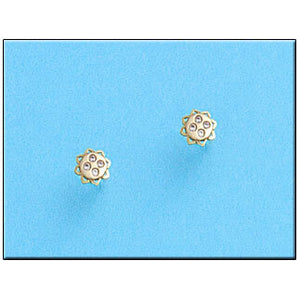 PENDIENTES ORO 18KL FLOR