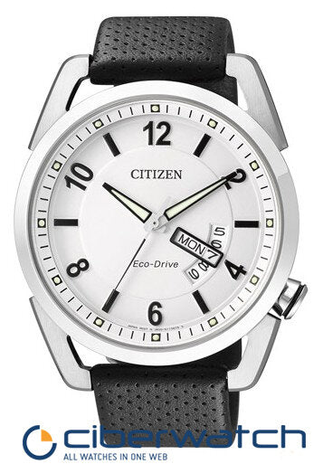 Reloj Citizen Eco Drive Metropolitan AW0010-01A