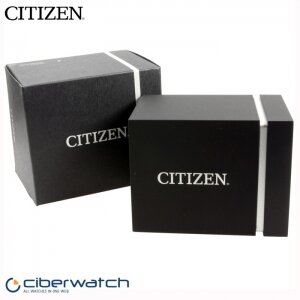 Reloj Citizen Eco Drive Aviator AW1365-19P