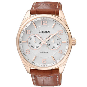 Reloj Citizen Eco Drive Metropolitan AO9024-16A