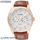 Reloj Citizen Eco Drive Metropolitan AO9024-16A