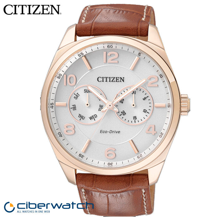 Reloj Citizen Eco Drive Metropolitan AO9024-16A