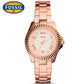 Reloj Fossil Cecile AM4611 Sumergible