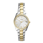 Reloj Fossil Scarlette Mini ES4319