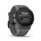 Reloj Garmin Fénix 6S Pro Solar Ametista Gris con Ametista Gris 010-02409-15