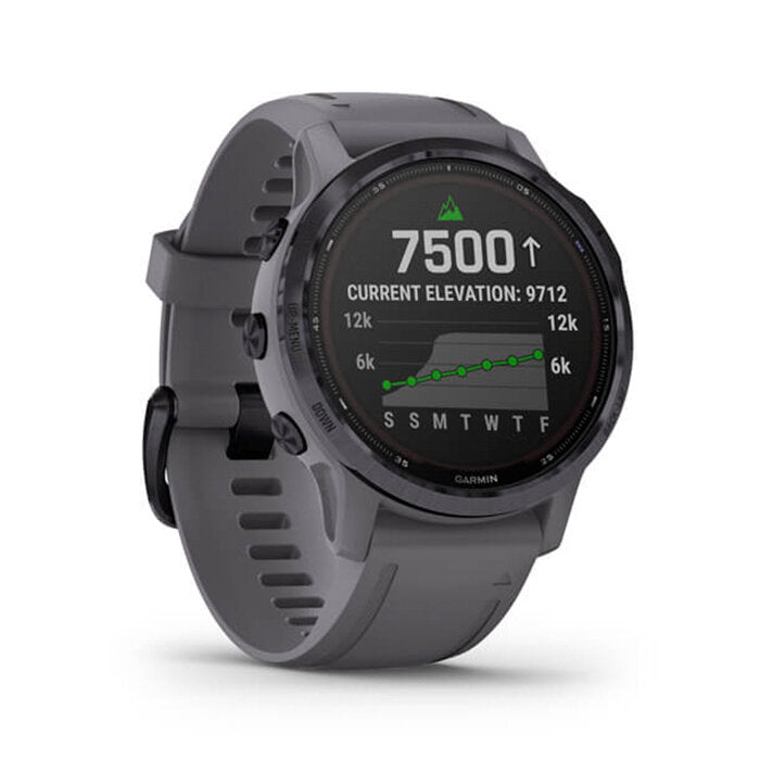 Reloj Garmin Fénix 6S Pro Solar Ametista Gris con Ametista Gris 010-02409-15